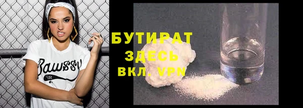 индика Горнозаводск