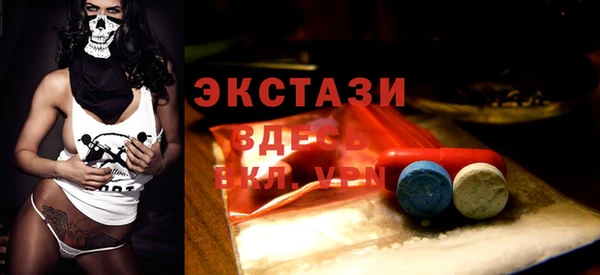 индика Горнозаводск