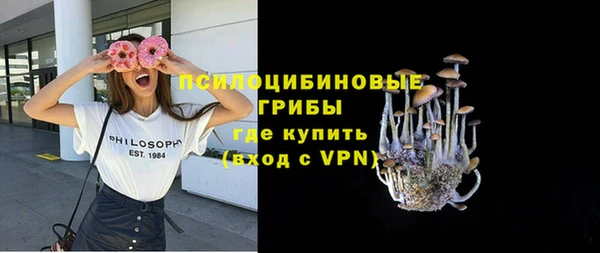 индика Горнозаводск