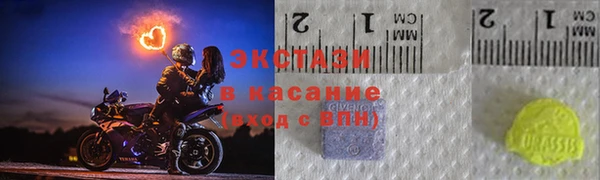 индика Горнозаводск