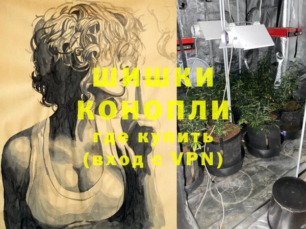 индика Горнозаводск