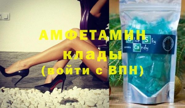 индика Горнозаводск