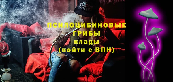 индика Горнозаводск
