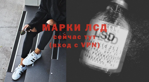 индика Горнозаводск
