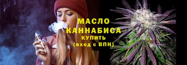 индика Горнозаводск