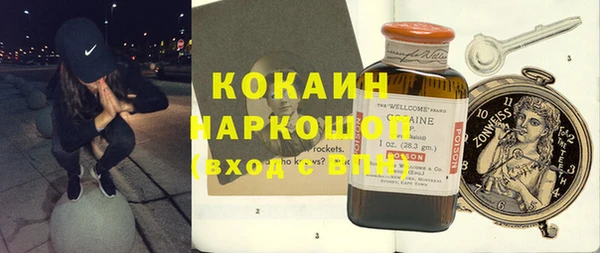 индика Горнозаводск