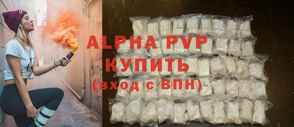 индика Горнозаводск
