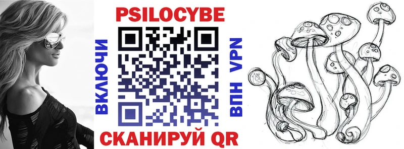 Псилоцибиновые грибы Psilocybe  дарк нет как зайти  Отрадная  даркнет сайт 